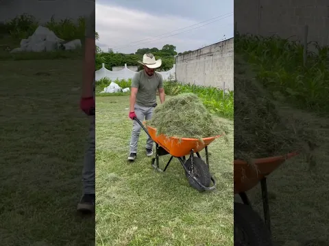 Esta labor de cultivo en tu jardín tiene múltiples beneficios