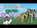How To Unlock Kelpies Quickly Easily For New Players Horse Life Roblox