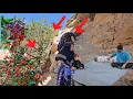 Download Lagu Ashraf Nomadic Life: A Challenging Journey to Collect Mountain Pistachios 