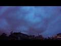 Fly By Night