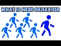 What is Herd Behavior Explained in 2 min