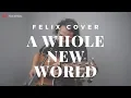 Download Lagu A Whole New World Zayn Zhavia ( Felix Irwan Cover )