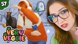 the winter where everyone dies 🥕 very veggie legacy #57 (the sims 4)