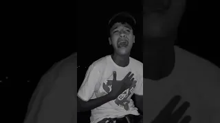 ياباشا الحاجه دي حاجتي مهرجانات الخضري سامر المدني القيصر 