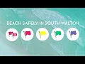 Saluting Safety with South Walton s Beach Flags