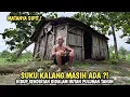 Lagu Suku Kalang Masih Ada ? Tinggal Sendirian Didalam Hutan Puluhan Tahun Viral Di Jawa Timur