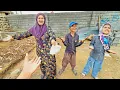 Download Lagu Dakloos gezin dolblij na het vinden van geld om huis te bouwen