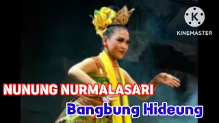 Download JAIPONG KLASIK || Nunung Nurmalasari || Bangbung Hideung MP3