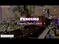 Download Lagu Karaoke Percumo - Nada Cewek || Koplo