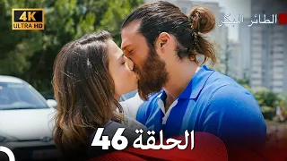 مسلسل الطائر المبكر الحلقة 46 4K Arabic Dubbed 