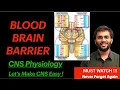 Blood Brain Barrier Structure Importance CNS Physiology
