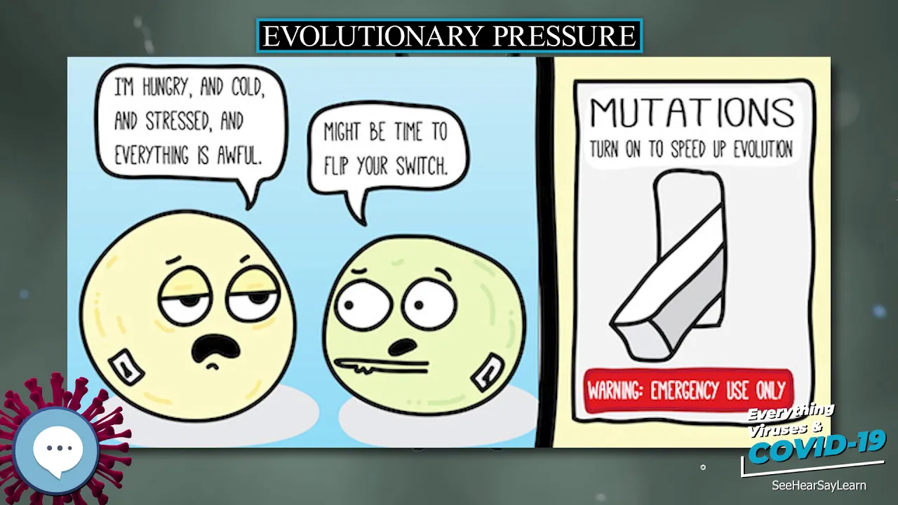 Evolutionary pressure 🧫👩🏾⚕🤒 Everything Viruses & COVID-19 🤒👩⚕🧫