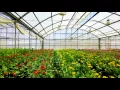 Coastal Farm