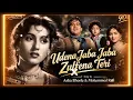 💖🎶 उड़े ना जाबा जाबा ज़ुल्फ़ें तेरी | Udena Jaba Jaba Zulfen Teri ❤️✨ | Asha Bhosle & Mohammed Rafi 