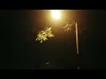 Traveler - Night Walk