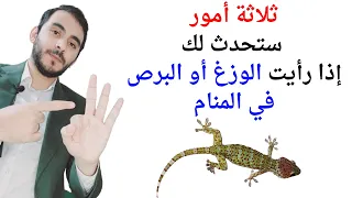 ثلاثة امور ستحدث لحياتك إذا رأيت الوزغ أو البرص أو أبو بريص في المنام L تفسير حلم رؤيا الوزغ والبرص  ثلاثة امور ستحدث لحياتك إذا رأيت الوزغ أو البرص أو أبو بريص في المنام L تفسير حلم رؤيا الوزغ والبرص