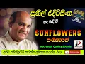 Download Lagu SUNFLOWER WITH SUNIL EDIRISINGHE  LIVE SHOW පැරණි සන්ෆ්ලවර් සුනිල් එදිරිසිංහ Recreated sounds