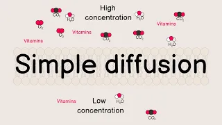 Simple Diffusion Explained Cell Membrane Transport Made Easy