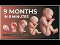 9 Months in 8 Minutes Conception to Birth