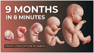 9 months in 8 minutes conception to birth