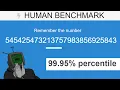Programmer VS The Human Benchmark Test Number Memory