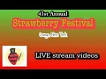 LIVE-streams s from the 41st Annual Strawberry Festival - Village of Owego NY