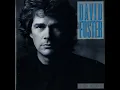 David Foster (This Must Be Love)
