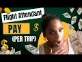 How Much Flight Attendants Actually Make The Truth