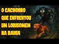Download Lagu UM CACHORRO CONTRA UM LOBISOMEM CAUSOS DE ASSOMBRAÇÃO #Terror #Horror #HistóriasDeTerror