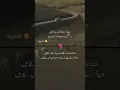 Apne kirdar par dal kr parda iqbal 🥀