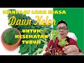 Lagu MANFAAT LUAR BIASA DAUN KELOR UNTUK KESEHATAN TUBUH