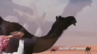ابلنا من دونها قدح الزنادي دندنها