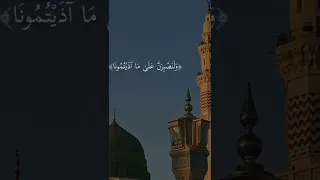 ومالنا الا نتوكل على الله وقد هدانا سبلنا قران قران كريم القران الكريم Fyp 