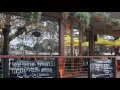 Miss Perez Kitchen Bar Restaurant Adelaide serving Burgers Tacos and Cocktails
