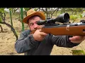 Pheasant Hunting and Cooking The Best Bird Meat! A Delicate and Very Tasty Dish