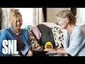 Download Lagu The Perfect Mother - SNL