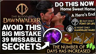 Blood of Dawnwalker - 39 Things You NEED to Do Before Ending the Game - ALL Missable Quests Guide!