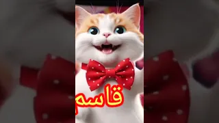 قاسم قاسم الحلو الزين قاسم 