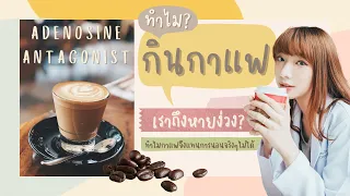 อะไรคือสารที่ทำให้เรารู้สึกง่วงนอนจริงๆ แทนที่จะเป็นเมลาโทนิน