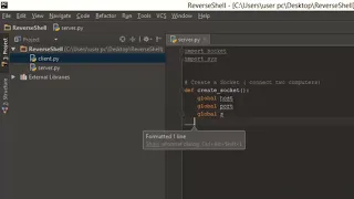 Socket Programming Creating a Socket Python Network Programming