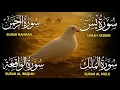 Download Lagu 🔴Live Surah Yaseen ❤ Surah Rahman ❤ Surah Al Mulk | Surah Al Waqiah Soothing Quran recitation