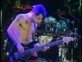 Download Lagu Red Hot Chili Peppers - Warped [Live, Reading Festival - England, 1994]