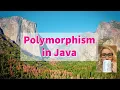 14 Polymorphism Java with Ali