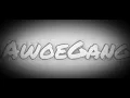 AwoeGang - The Vibe                            Prod. by TSH Mix and Mastered by: Awoe
