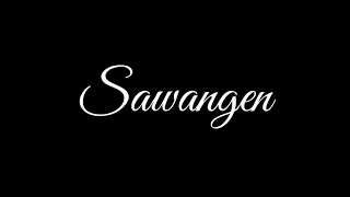 Download Sawangen  versi dance thailand MP3