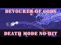 Devourer of Gods Death Mode NO-HIT Summoner Terraria Calamity Mod Check Desc