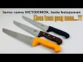 Download Lagu Ketajaman Pisau Butcher Victorinox Seri Swibo, Rosewood, dan Fibrox Ternyata Berbeda-beda