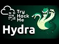 Hydra TryHackMe In-depth Walkthrough