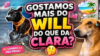 FOMOS A PRAIA E NÃO LEVAMOS A CLARINHA, SÓ O WILL 🫣