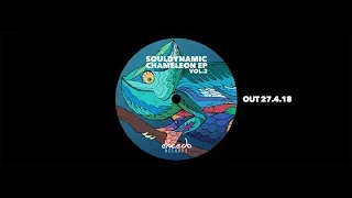souldynamic akinesia chameleon ep vol 2 excedo records 